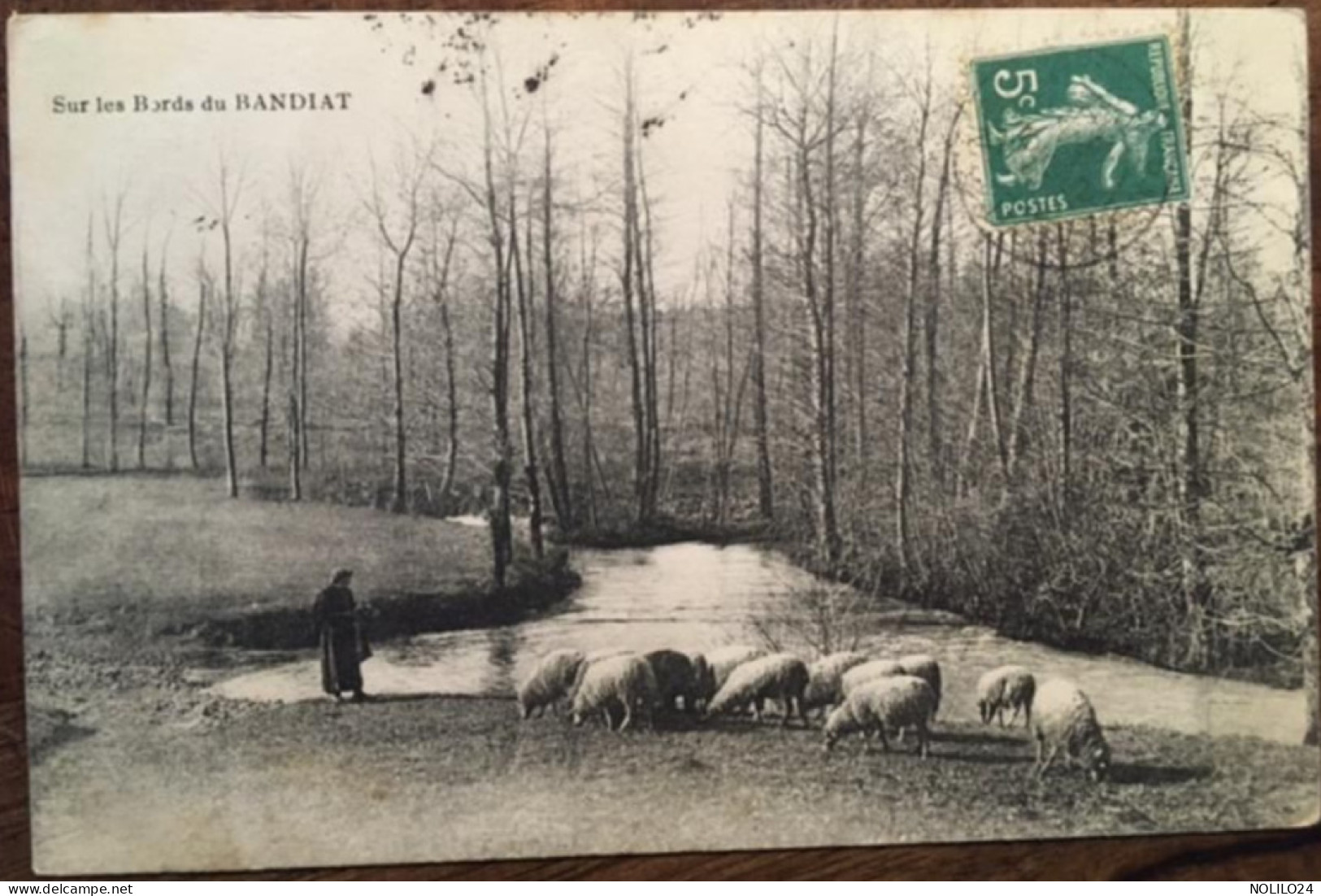 Cpa 24 Dordogne, Sur Les Bords Du Bandiat (Nontronnais), Bergère Et Son Troupeau De Moutons, écrite En 1912 - Nontron