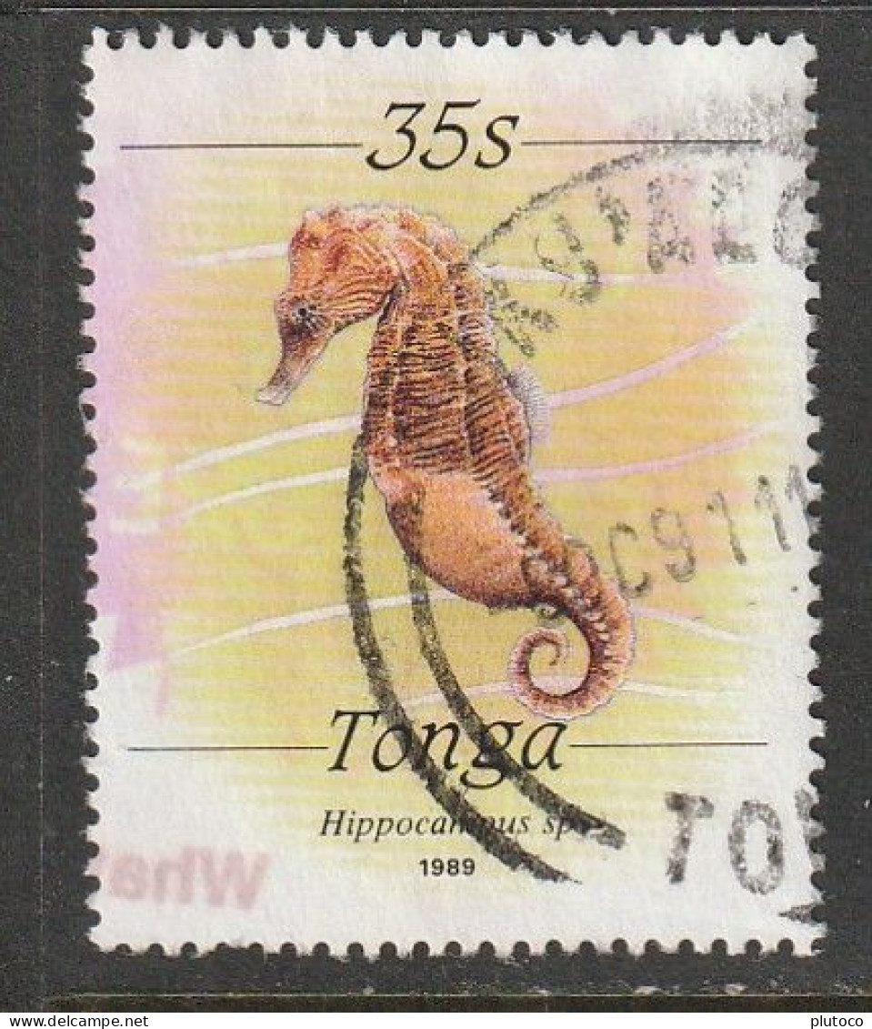 TONGA, USED STAMP, OBLITERÉ, SELLO USADO, - Tonga (1970-...)