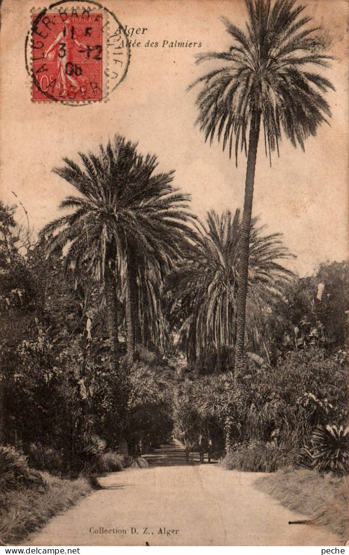 N°1580 W -cpa Alger -allée Des Palmiers- - Algiers