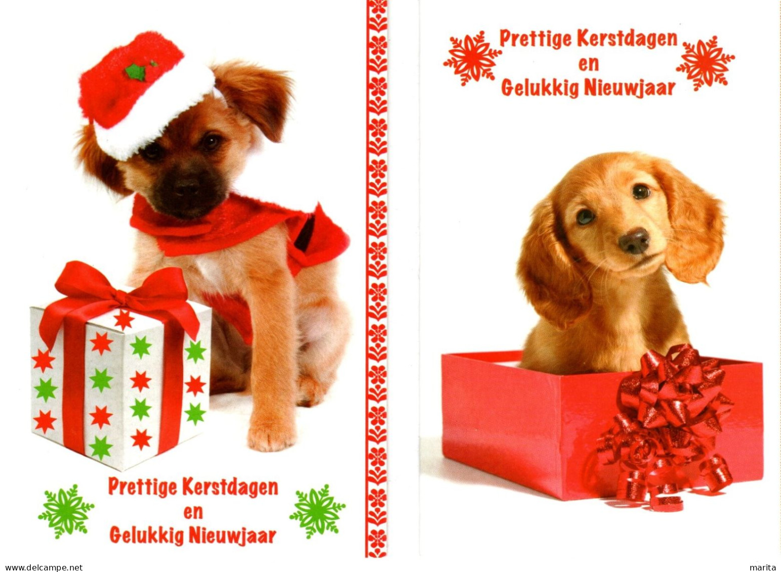 2 Cartes -chien - Dog- Hunde - Honden Met Kerstmuts - Año Nuevo