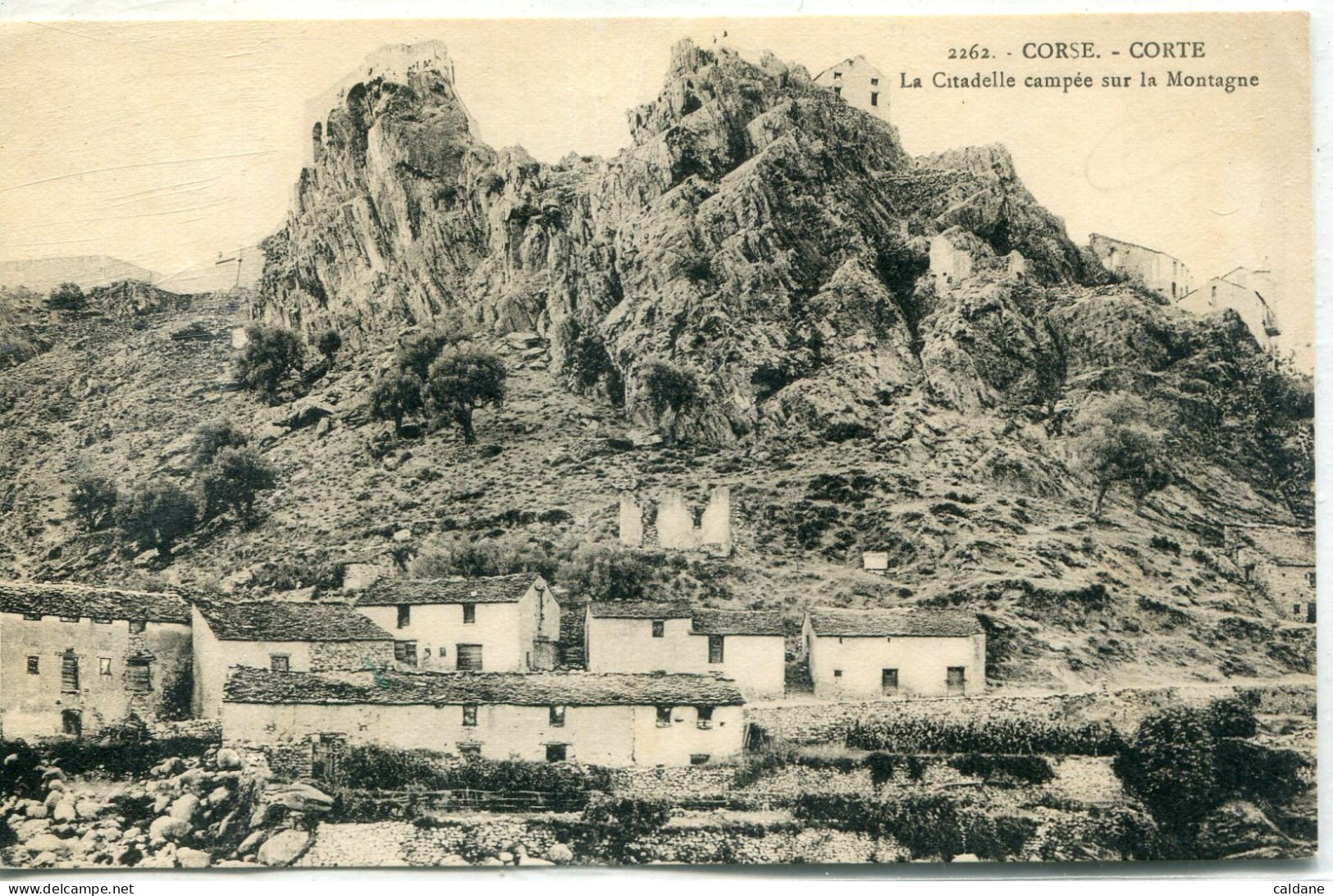 - 2B-CORSE  - CORTE - La Citadelle Campée Sur La Montagne - Corte