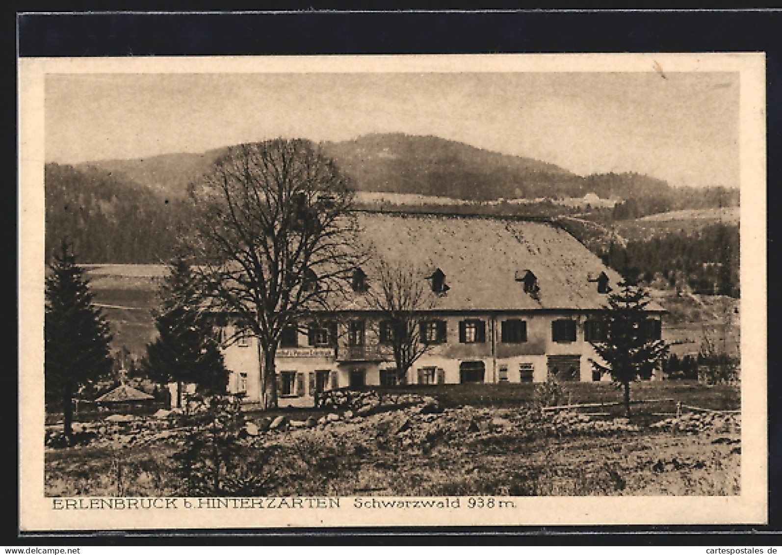 AK Erlenbruck B. Hinterzarten, Gasthof Und Pension Erlenbruch  - Hinterzarten