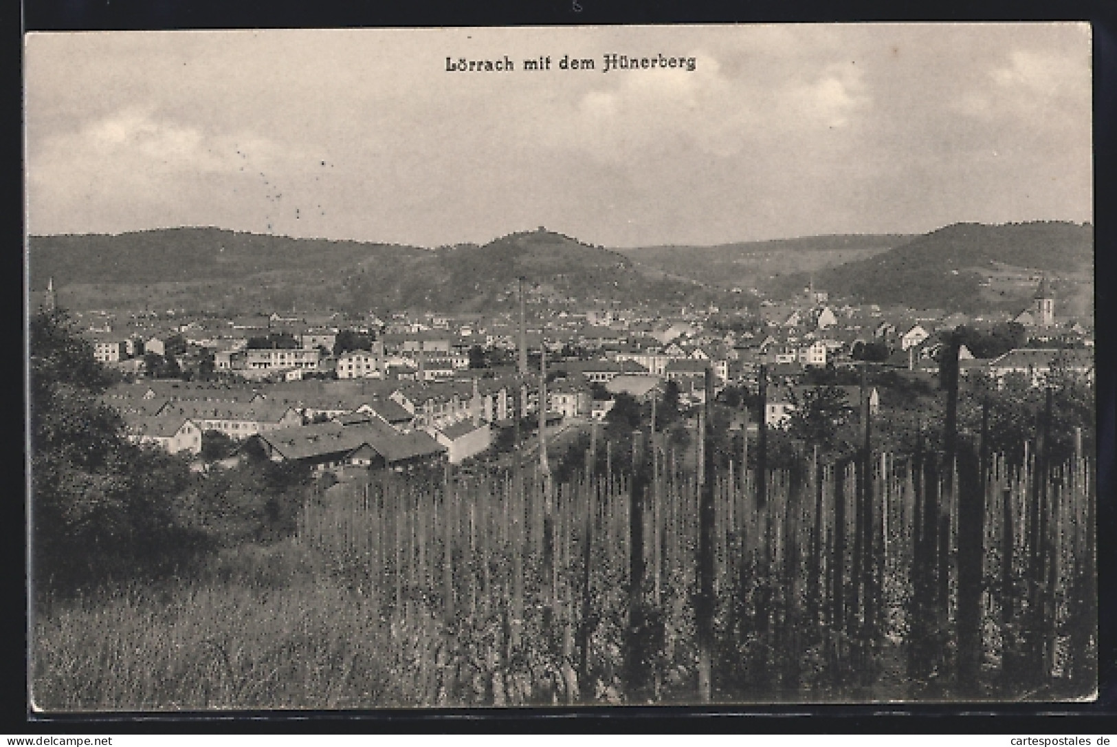 AK Lörrach, Gesamtansicht Mit Dem Hünerberg  - Loerrach