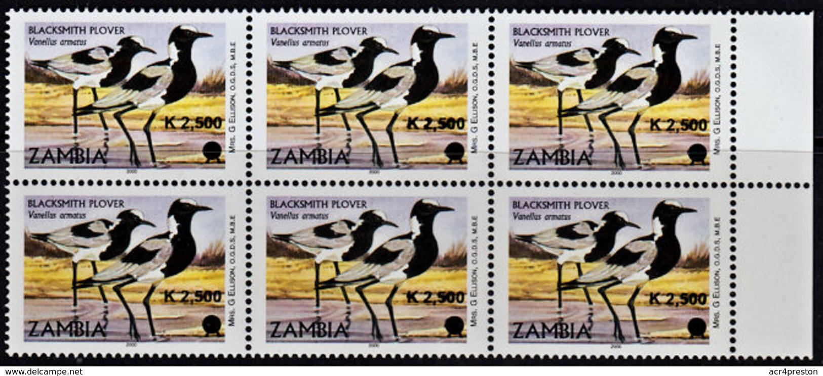 D0360 ZAMBIA 2011, SG 1063 K2,500 Surcharge On 'A' Aquatic Birds,  MNH Marginal Block Of 6 - Zambie (1965-...)