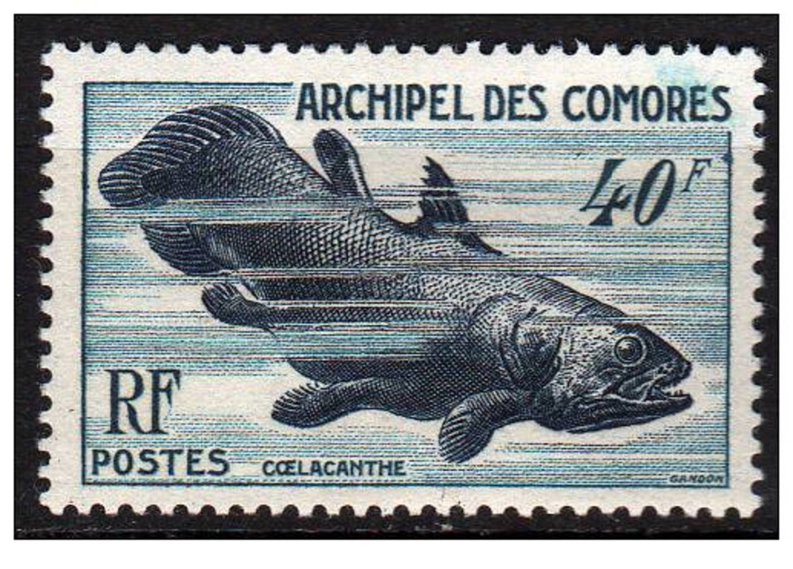 COMORES N° 13 XX Faune Marine : Coelacanthe - Autres & Non Classés