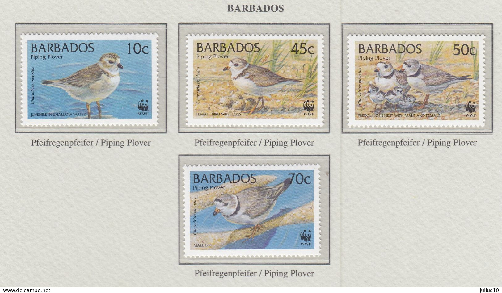 BARBADOS 1999 WWF Birds Mi 952-955 MNH(**) Fauna 599 - Otros & Sin Clasificación