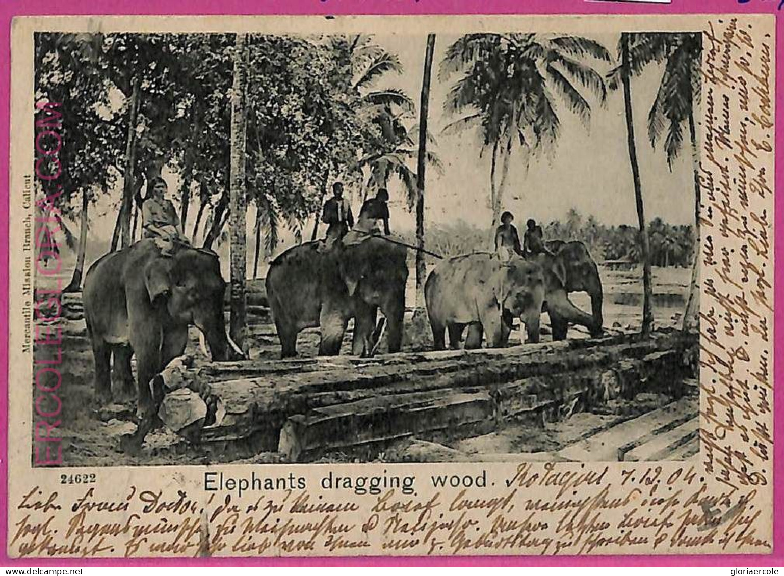 Ag3805  - INDIA - VINTAGE POSTCARD - 1904 - ETHNIC, Elephants Dragging Wood - India