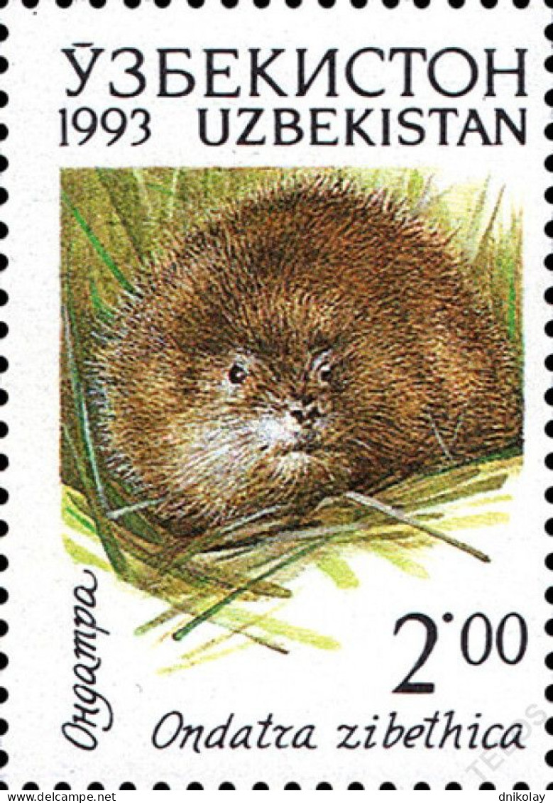 1993 07 Uzbekistan Fauna Teratoscincus Scincus Pandion Haliaetus 	Remiz Pendulinus MNH - Oezbekistan