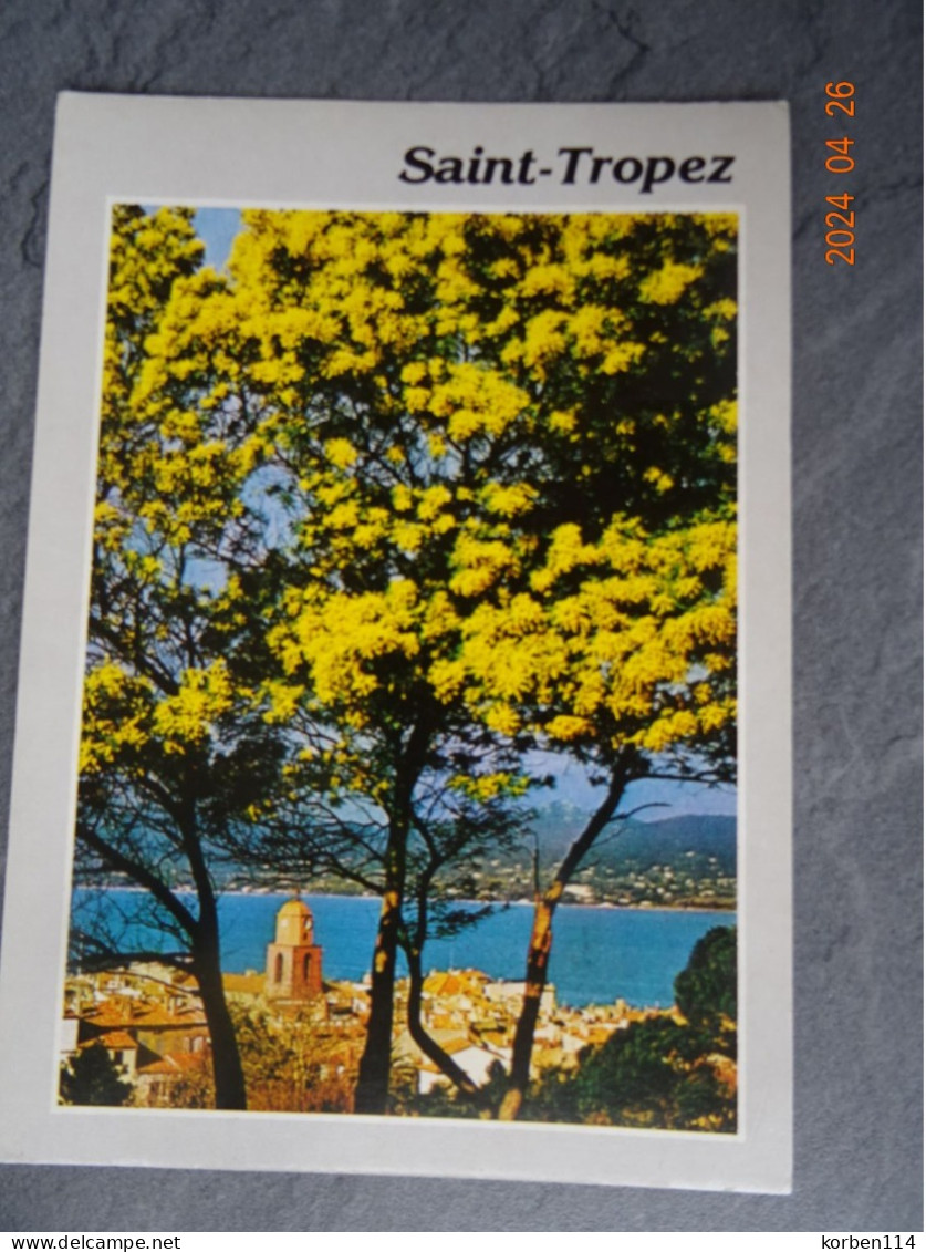 LE CLOCHER ET LE GOLFE DE SAINT TROPEZ - Saint-Tropez