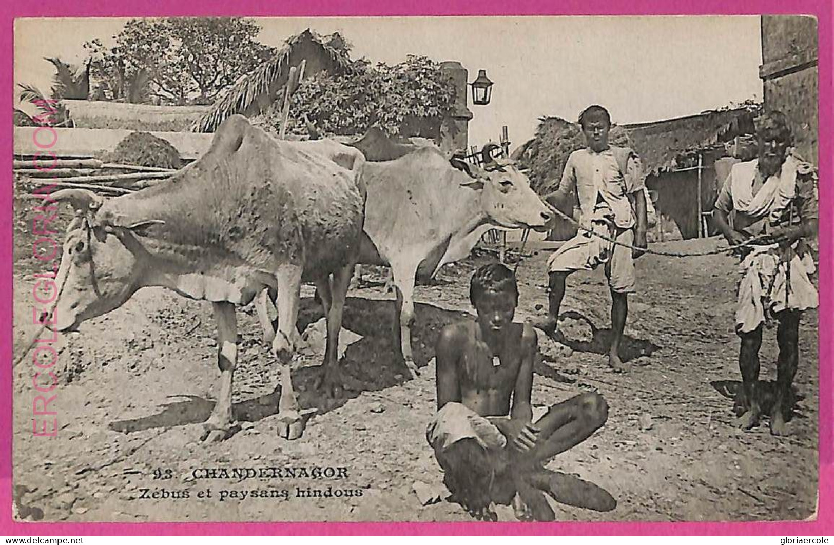 Ag3808  - INDIA - VINTAGE POSTCARD - Chandernagore, ETHNIC - India