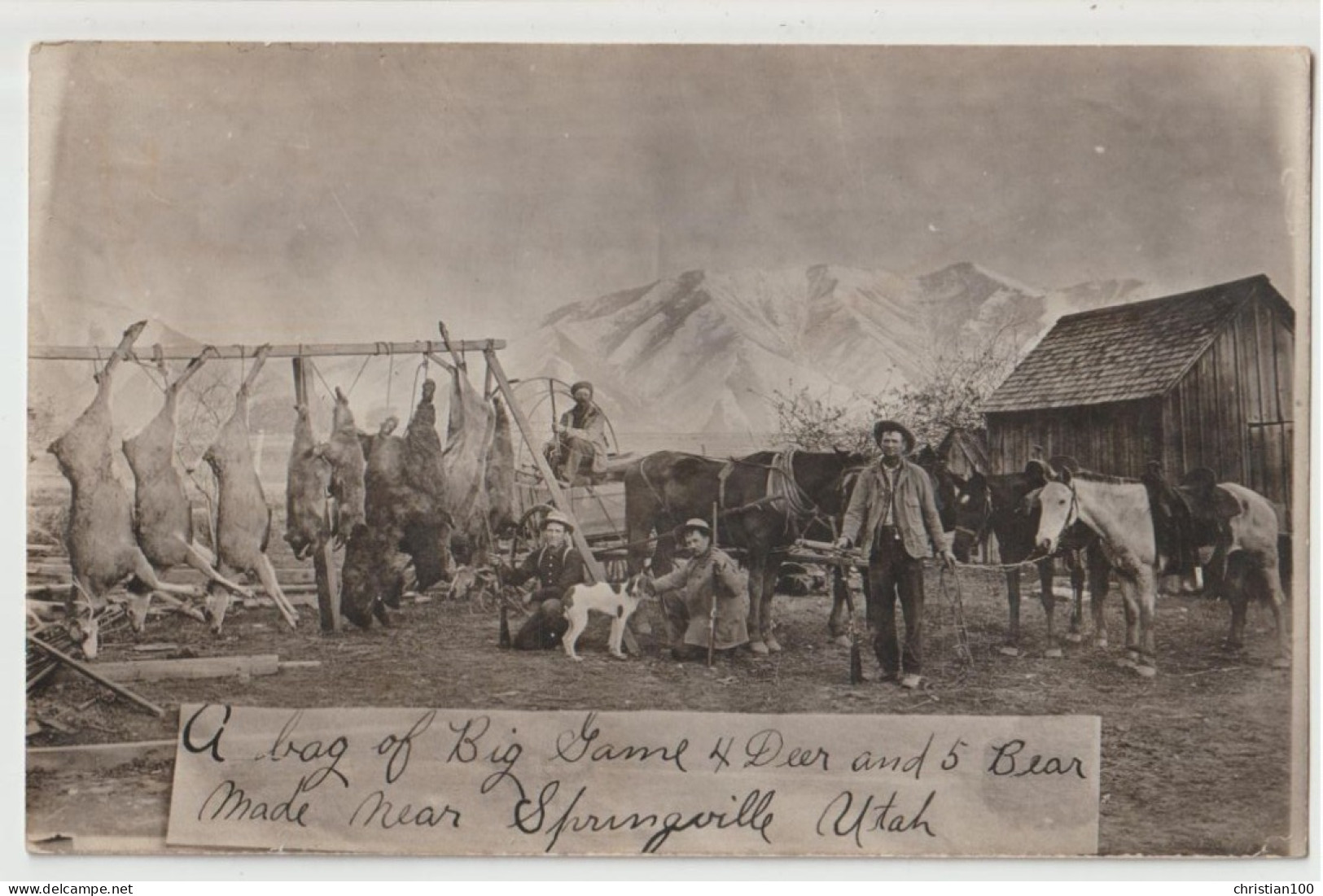 CARTE PHOTO - PARTIE DE CHASSE ( SPRINGVILLE - UTAH - USA ) - CHASSEURS - 4 ELANS OU CERFS & 5 OURS TUES ( DEER & BEAR ) - Hunting