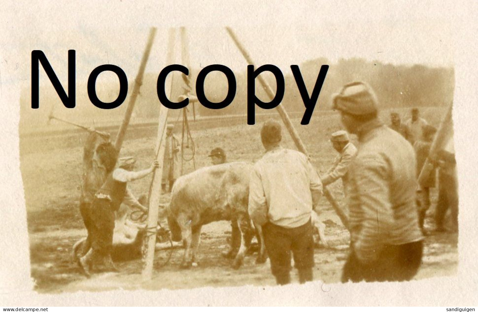 PHOTO FRANCAISE - CENTRE D'ABATTAGE DES BOEUFS EN PLEIN AIR A CHALONS SUR MARNE - GUERRE 1914 1918 - Krieg, Militär