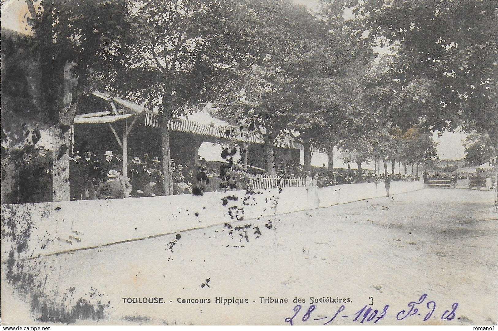 31)   TOULOUSE  -  Concours Hippique  - Tribune Des Sociétaires - Toulouse