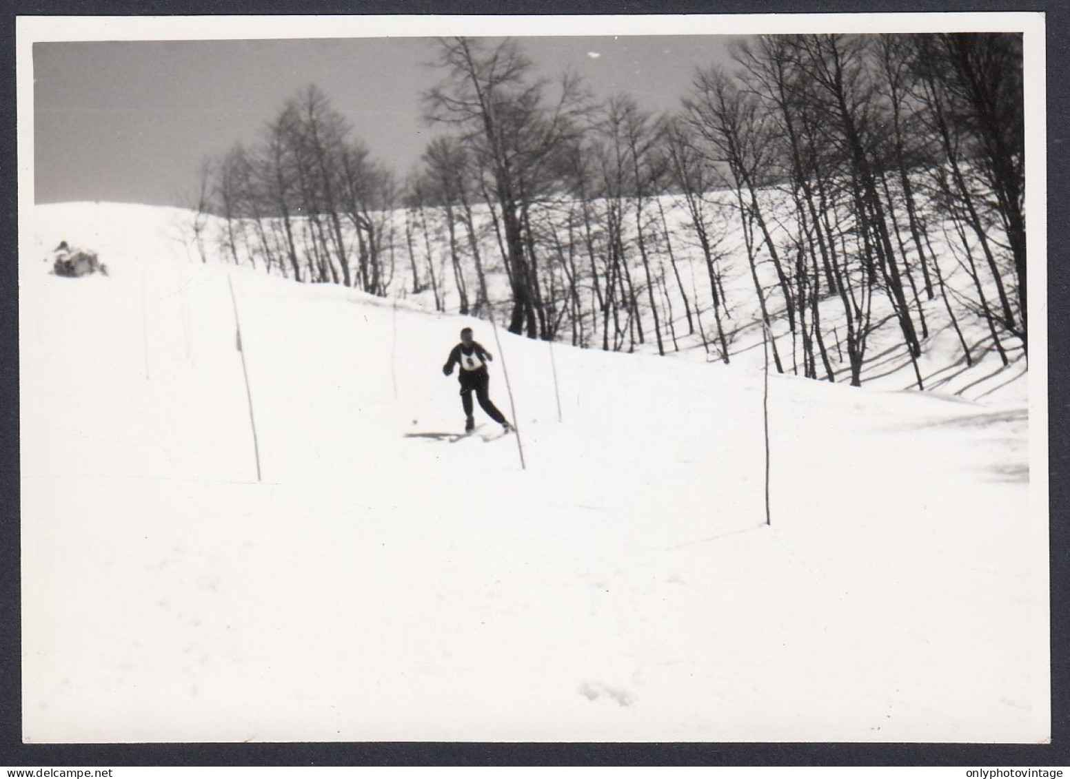 Sport, Sci, Gara Di Slalom, 1950 Fotografia Epoca, Vintage Photo - Lugares