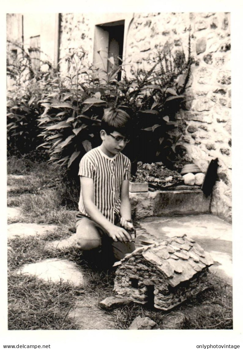 Jardin De Caumont, Piante, Fiori, Botanica, 1970 Fotografia Vintage - Lugares