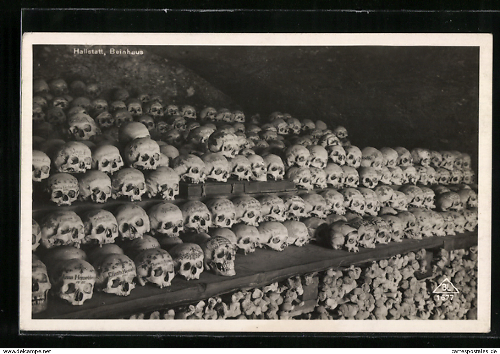 AK Totenschädel Aufgereiht Mit Beschriftungen, Hallstatt Beinhaus  - Funeral