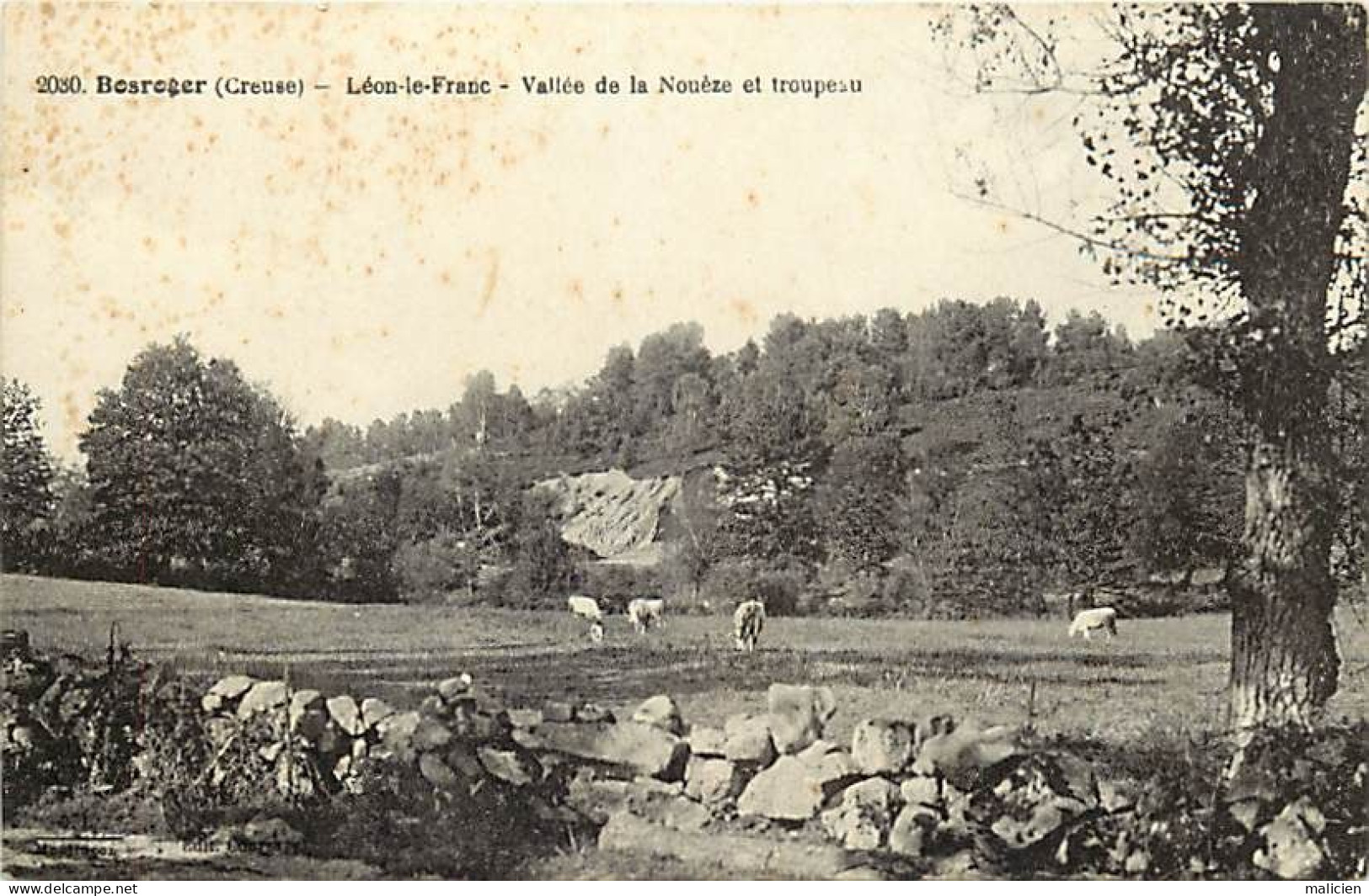 - Creuse -ref-A585- Bosroger - Léon Le Franc - Vallée De La Nouèze Et Troupeau De Vaches - - Felletin