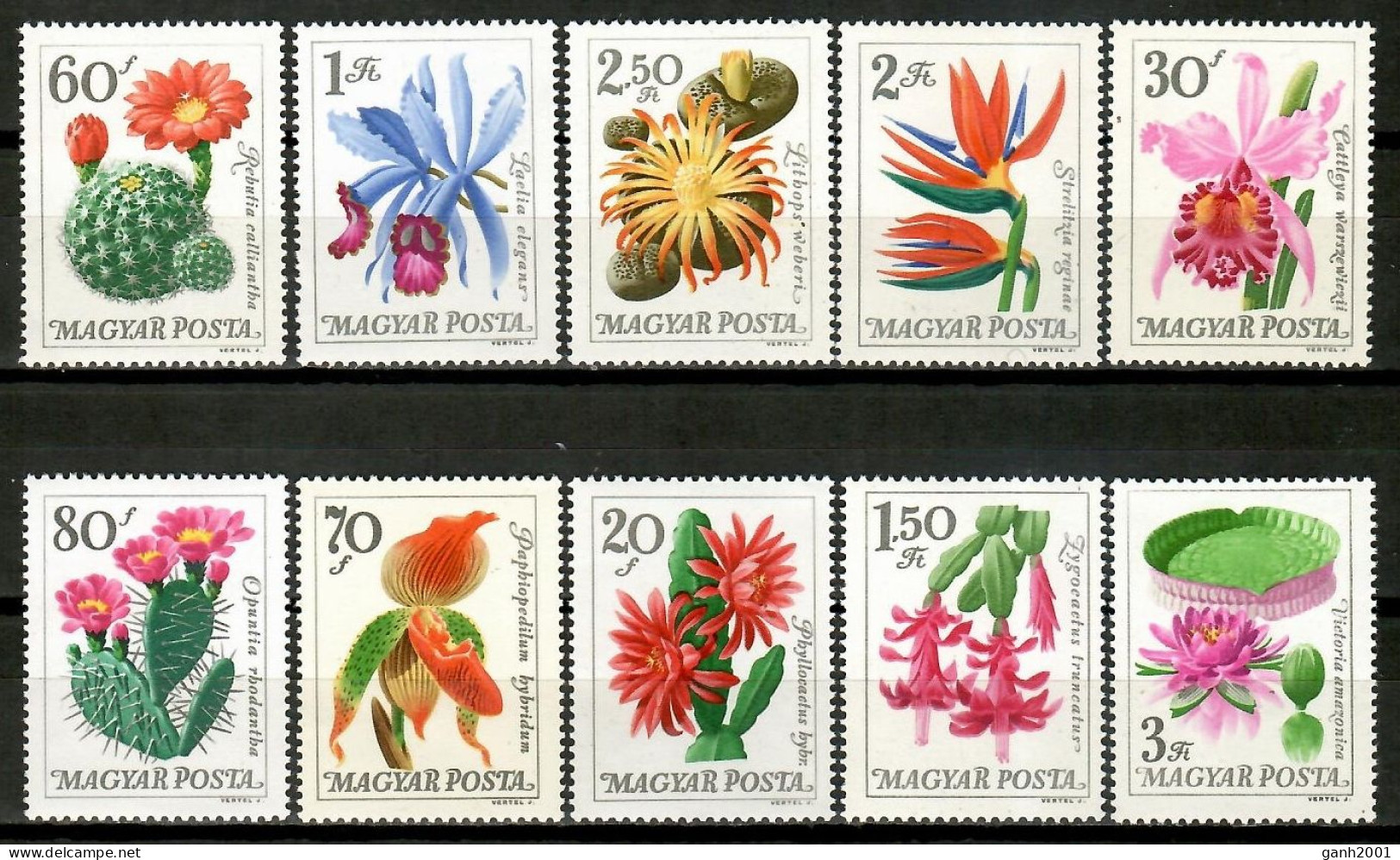 Hungary 1965 Hungría / Flowers Cactus MNH Fleurs Flores Blumen Kaktus / Cu15636  36-7 - Otros & Sin Clasificación