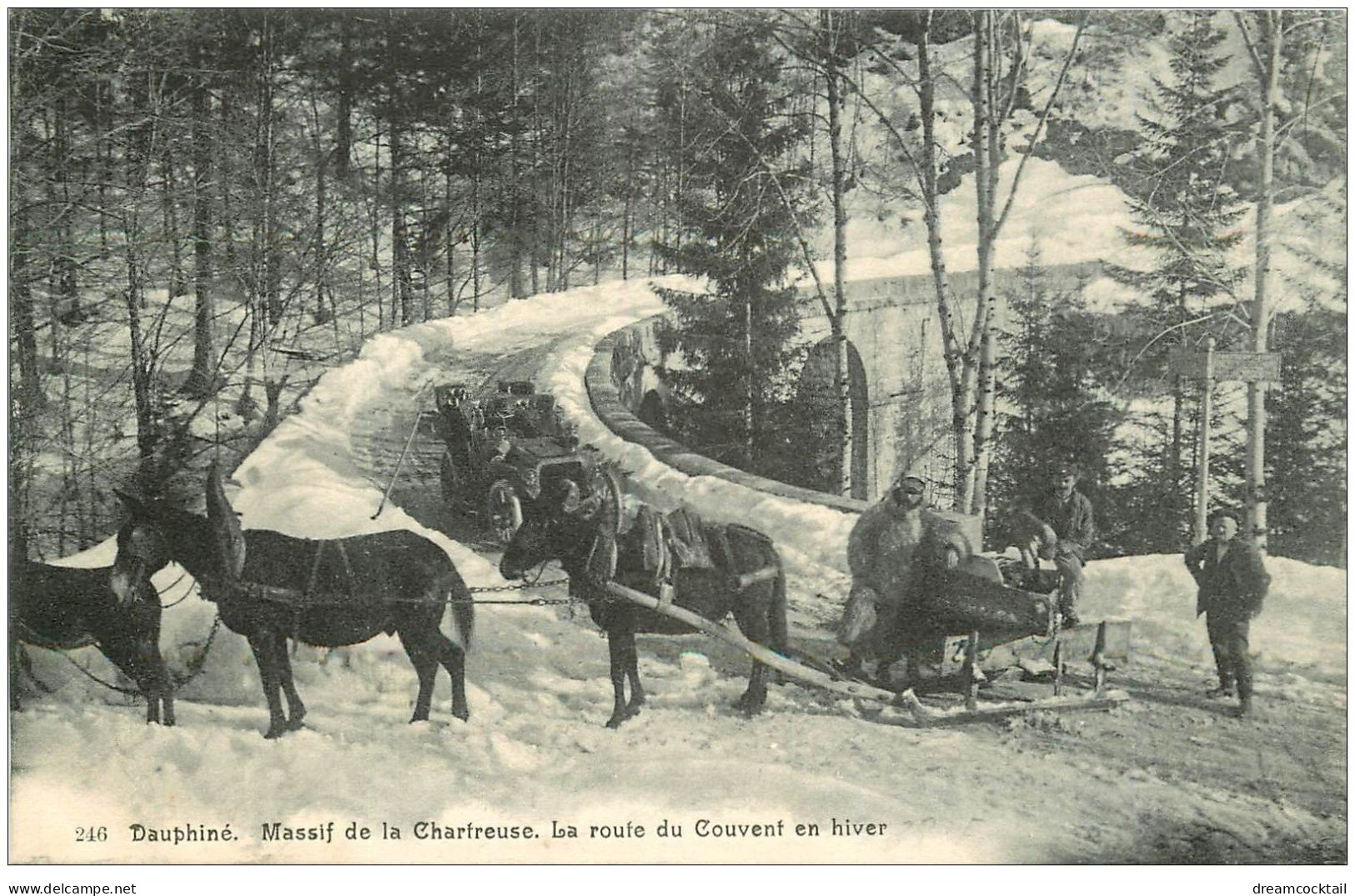 38 GRANDE CHARTREUSE. Traineaux Route Du Couvent Et Voiture Ancienne - Chartreuse