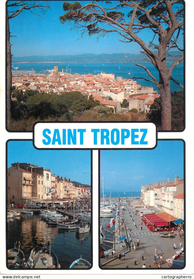 Navigation Sailing Vessels & Boats Themed Postcard Saint Tropez Harbour - Voiliers