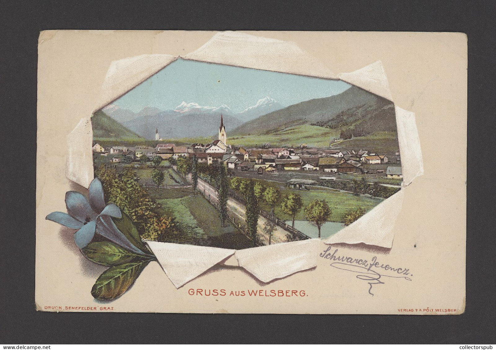 WELSBERG Vintage Postcard - Otros & Sin Clasificación