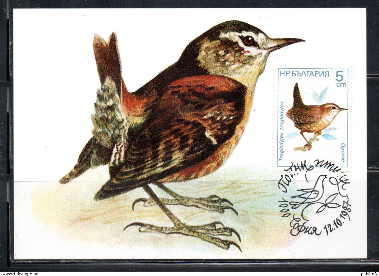 BULGARIA BULGARIE BULGARIEN 1987 SONGBIRDS FAUNA TROGLODYTES BIRD 5s MAXI MAXIMUM CARD - FDC