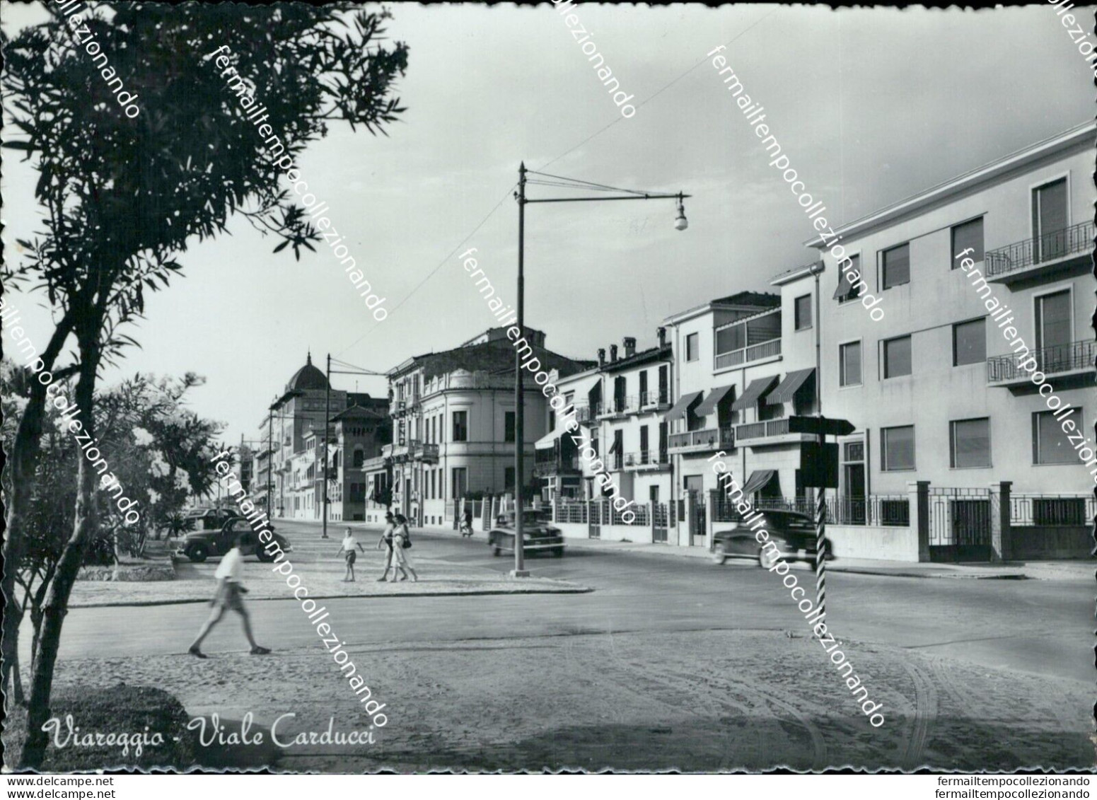 Bh458 Cartolina Viareggio Viale Carducci Provincia Di Lucca - Lucca