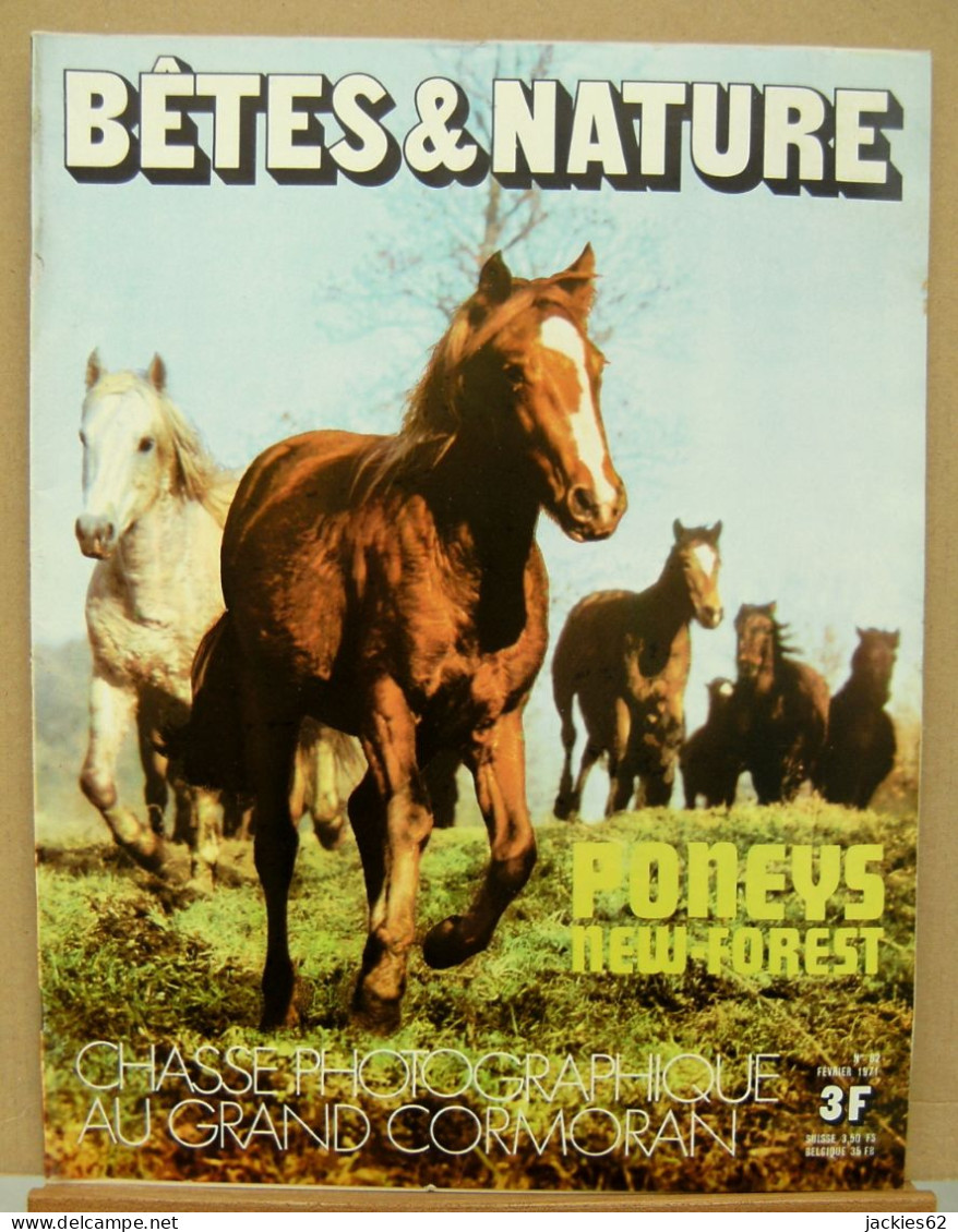 082/ LA VIE DES BETES / BETES ET NATURE N° 82 Du 2/1971, Voir Sommaire - Animaux