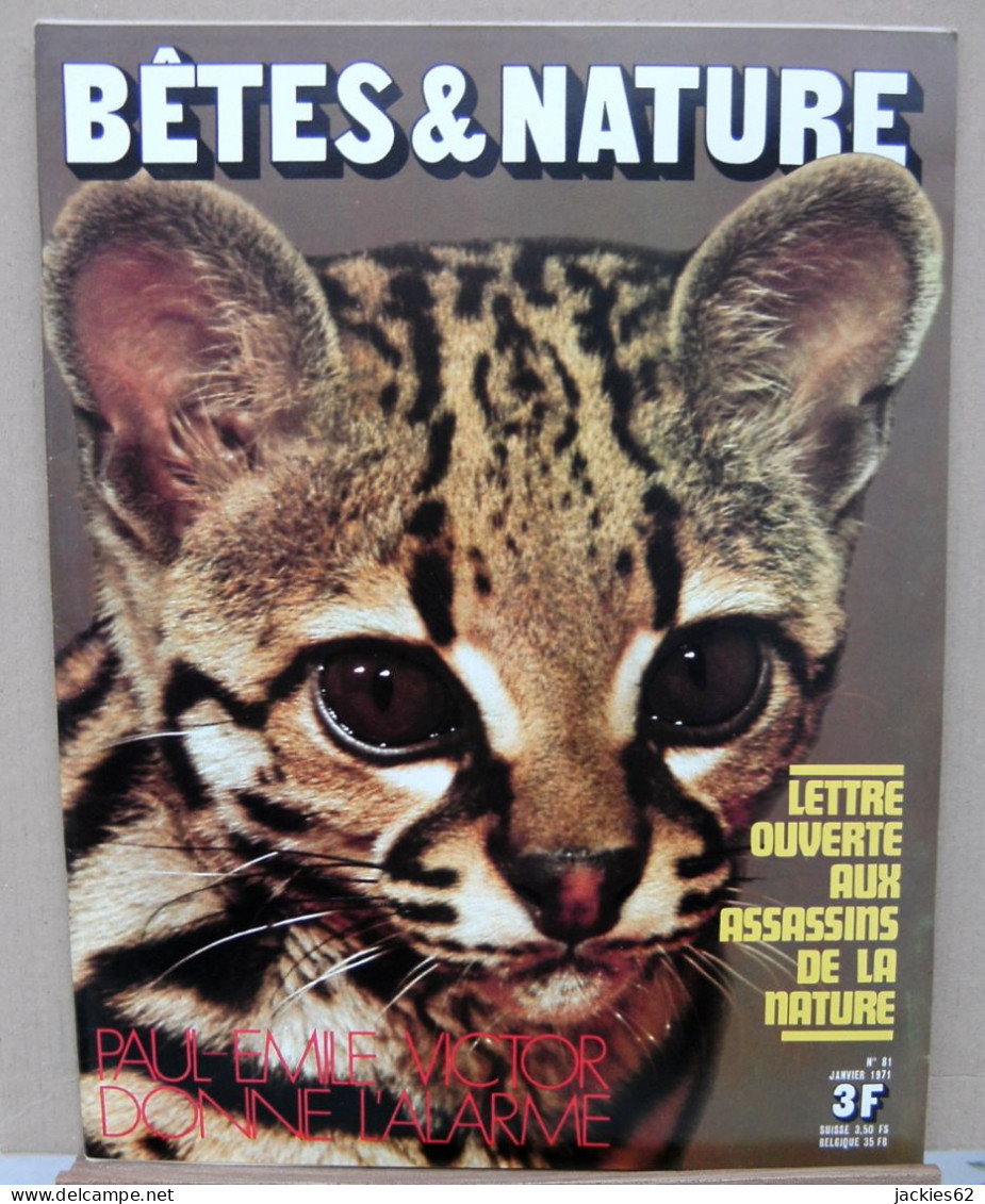 081/ LA VIE DES BETES / BETES ET NATURE N° 81 Du 1/1971, Voir Sommaire - Animals