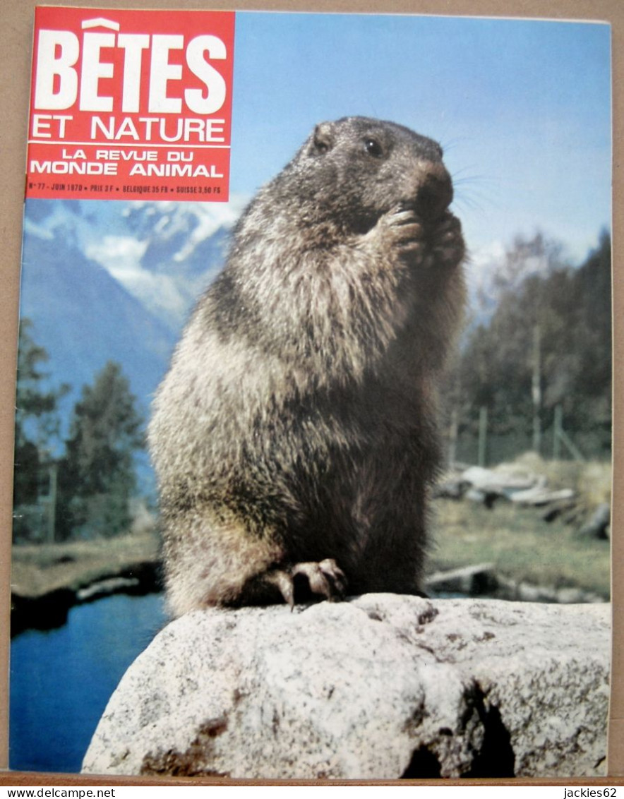 077/ LA VIE DES BETES / BETES ET NATURE N° 77 Du 6/1970, Voir Sommaire - Dieren