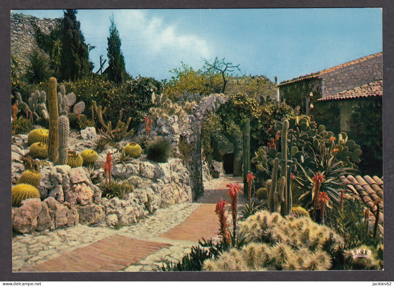 070809/ EZE, Le Jardin Exotique - Eze