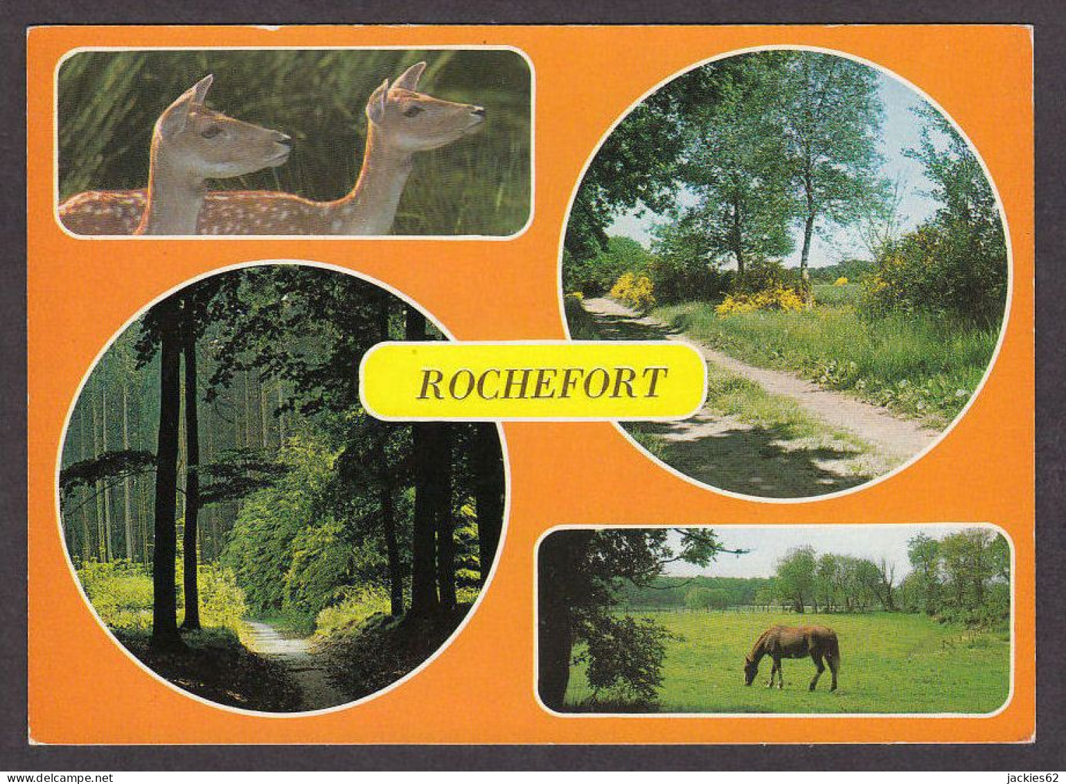 080617/ ROCHEFORT - Rochefort