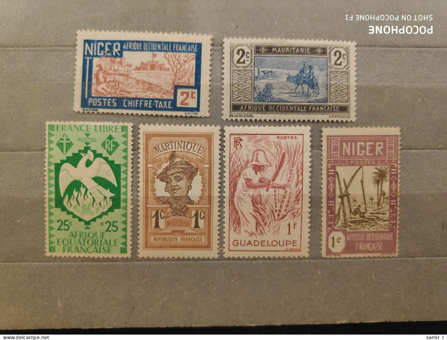 France Colonies	Animals (F95) - Other & Unclassified