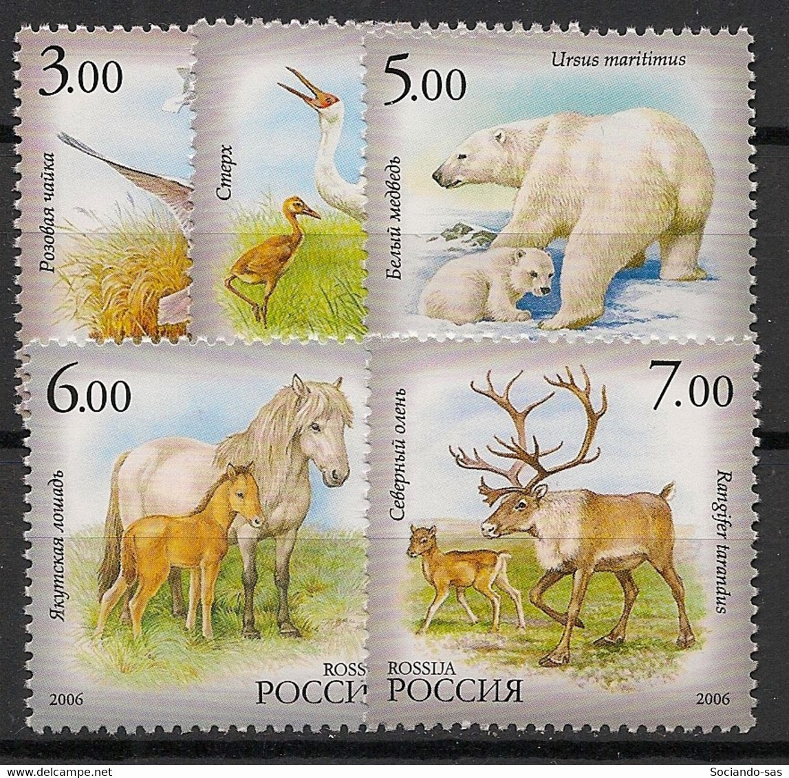 RUSSIA - 2006 - N°YT. 6970 à 6974 - Faune - Neuf Luxe ** / MNH / Postfrisch - Unused Stamps