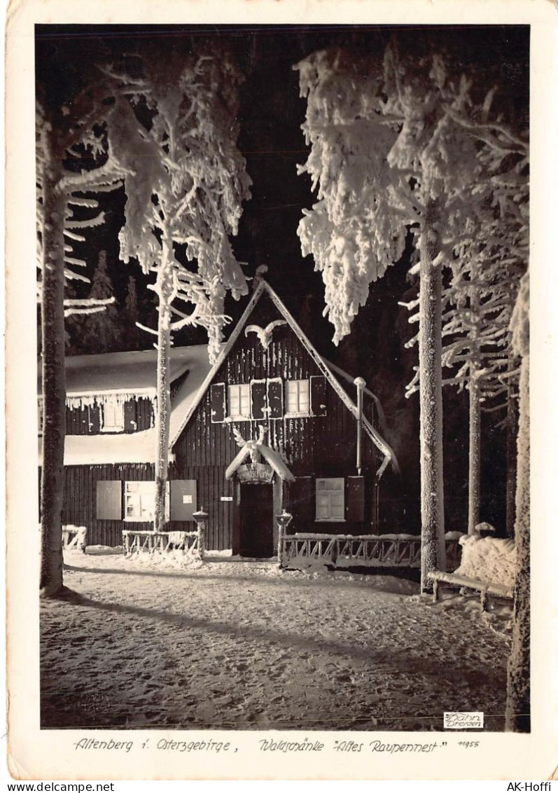 Altenberg / Osterzgebirge - Waldschänke Altes Raupennest Gelaufen 1945 - Geising