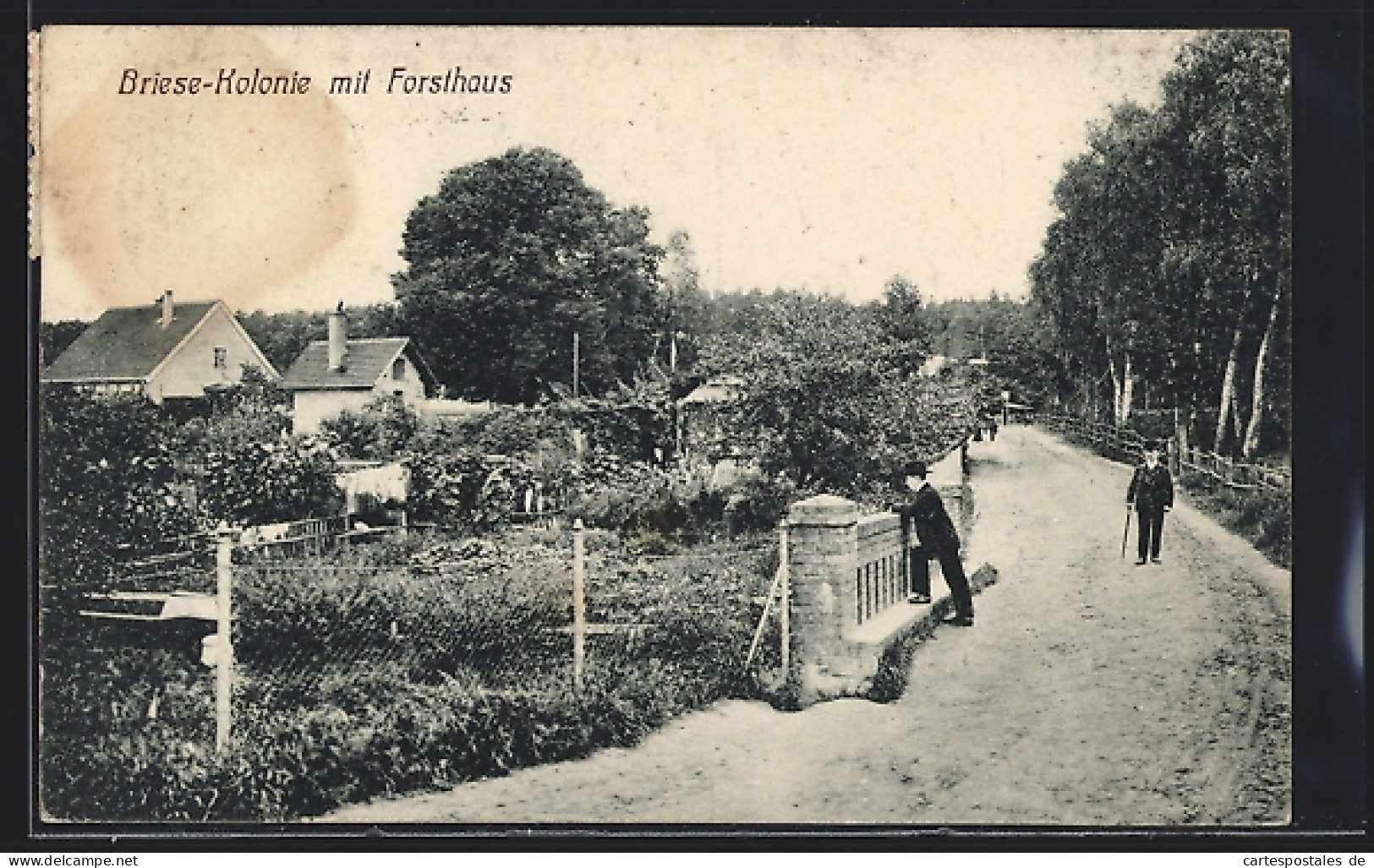 AK Birkenwerder, Briese-Kolonie Mit Fosthaus  - Jacht