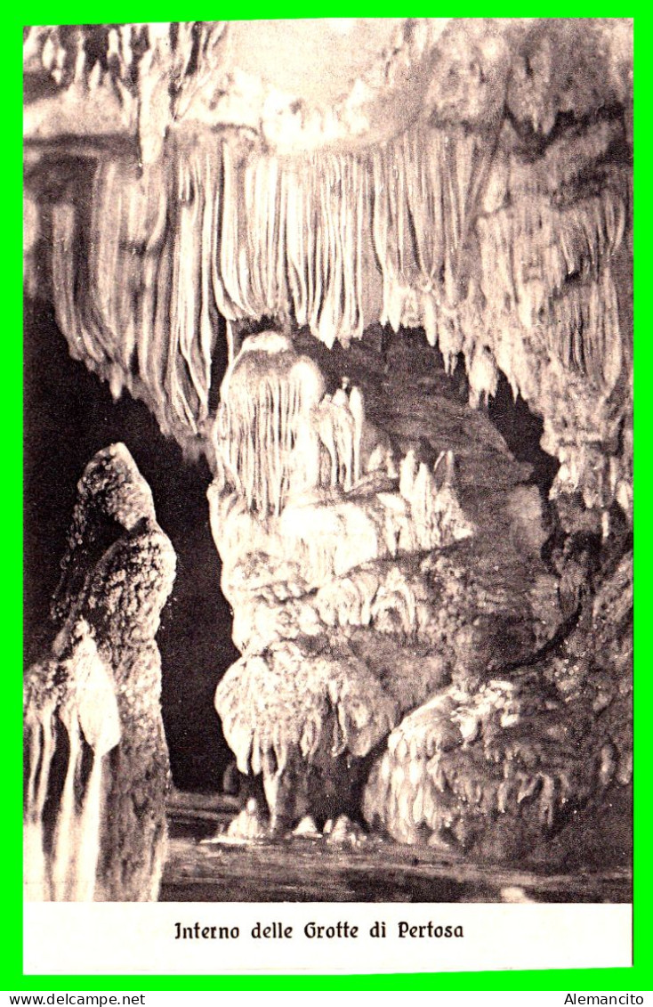 ITALIA --  PERTOSA COMUNA ITALIANA  ( CAMPAÑIA ) - ITALIA -   POSTAL MUY  ANTIGUA DEL INTERIOR DE LA GRUTA - Otros & Sin Clasificación