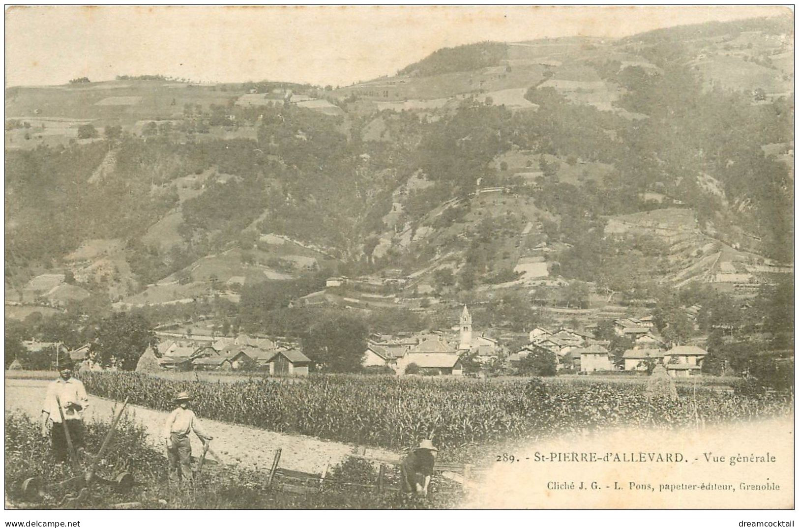 38 SAINT-PIERRE-D'ALLEVARD. Cultivateurs Aux Champs 1902 - Allevard