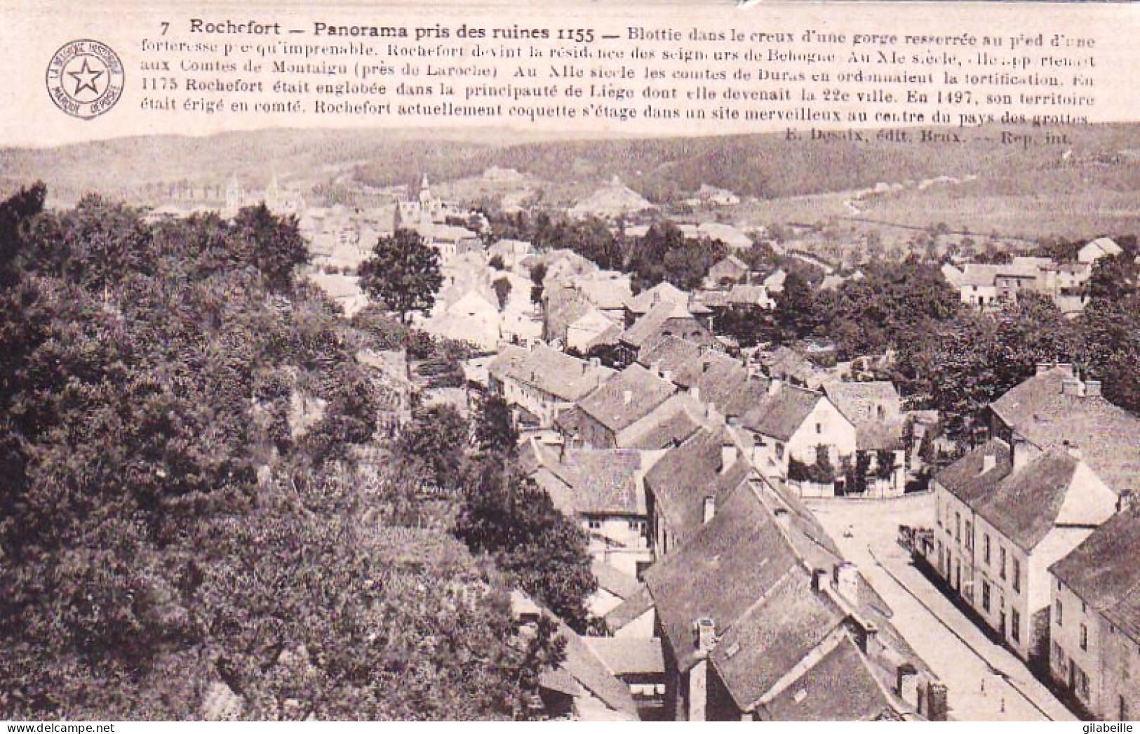 Namur -  ROCHEFORT - Panorama  Pris Des Ruines - Rochefort