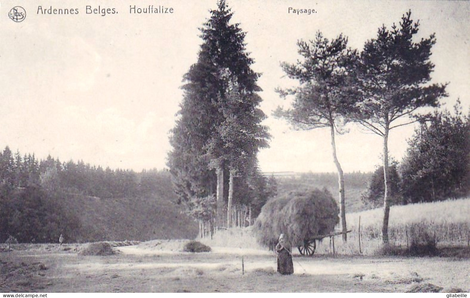 HOUFFALIZE -   Paysage - Ardennes Belge - Houffalize