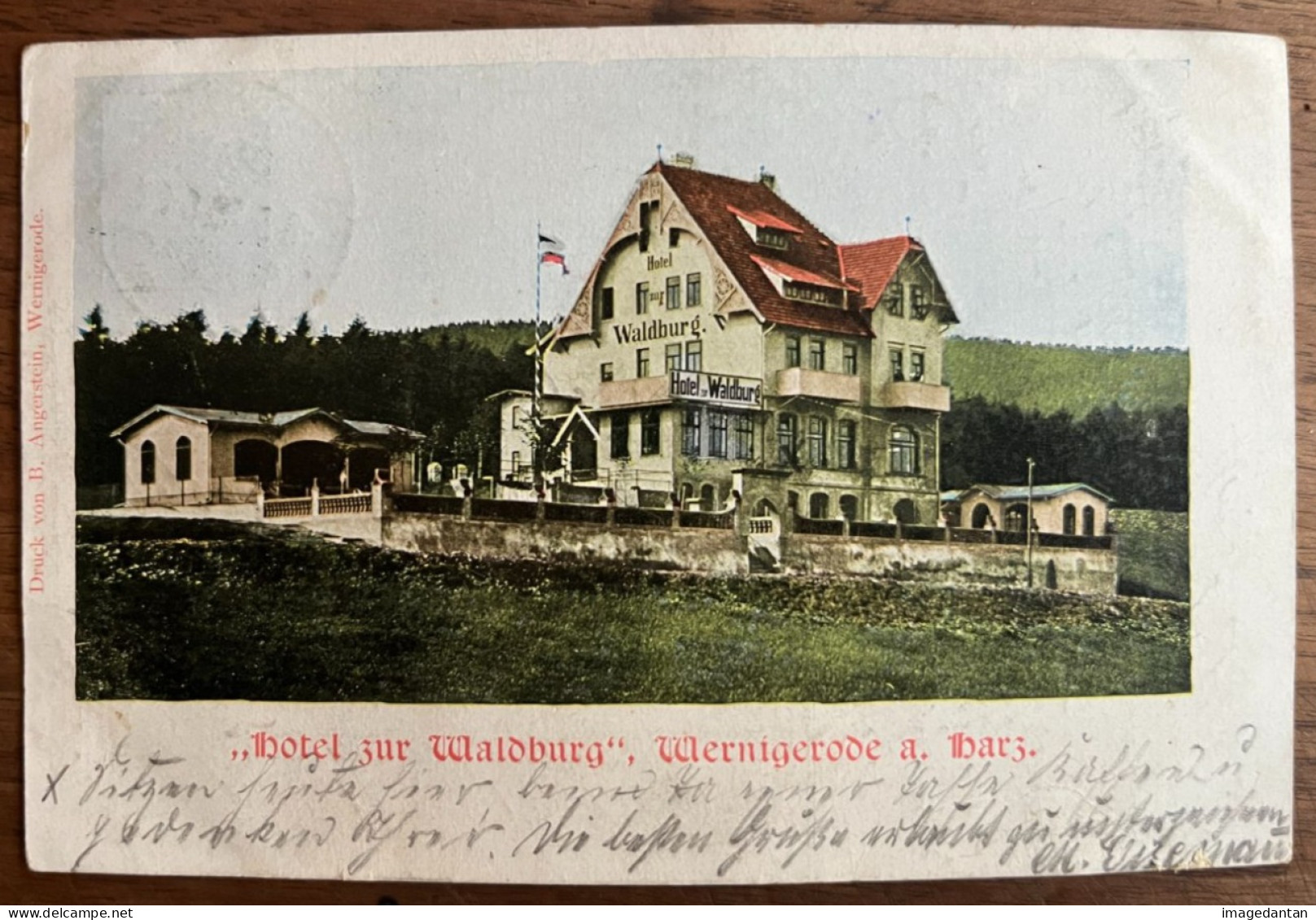 Wernigerode A. Harz - Hotel Zur Waldburg - Gelaufen 1909 - Andere & Zonder Classificatie