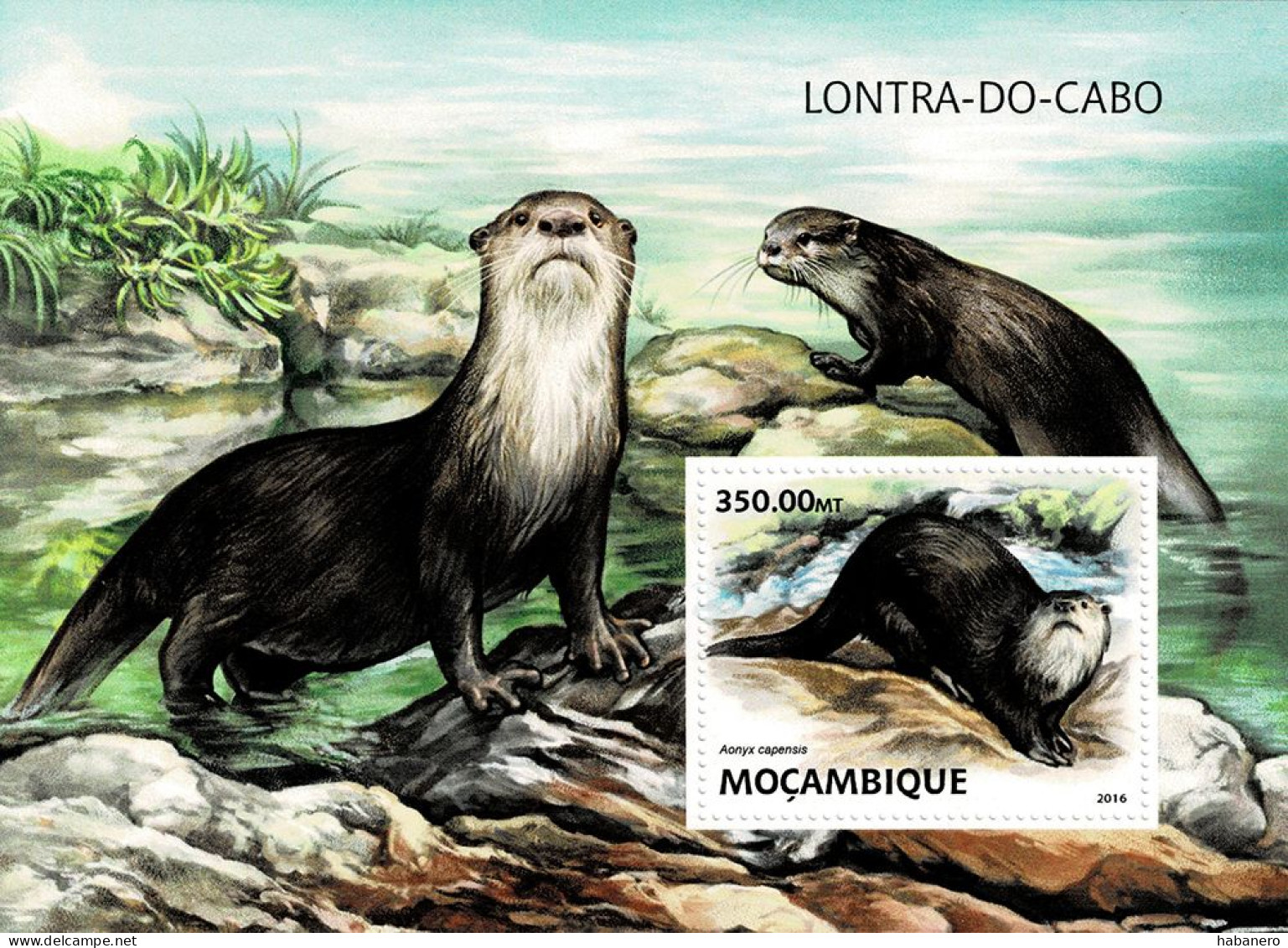 MOZAMBIQUE 2016 Mi BL 1217 WWF OTTER MINT MINIATURE SHEET ** - Neufs