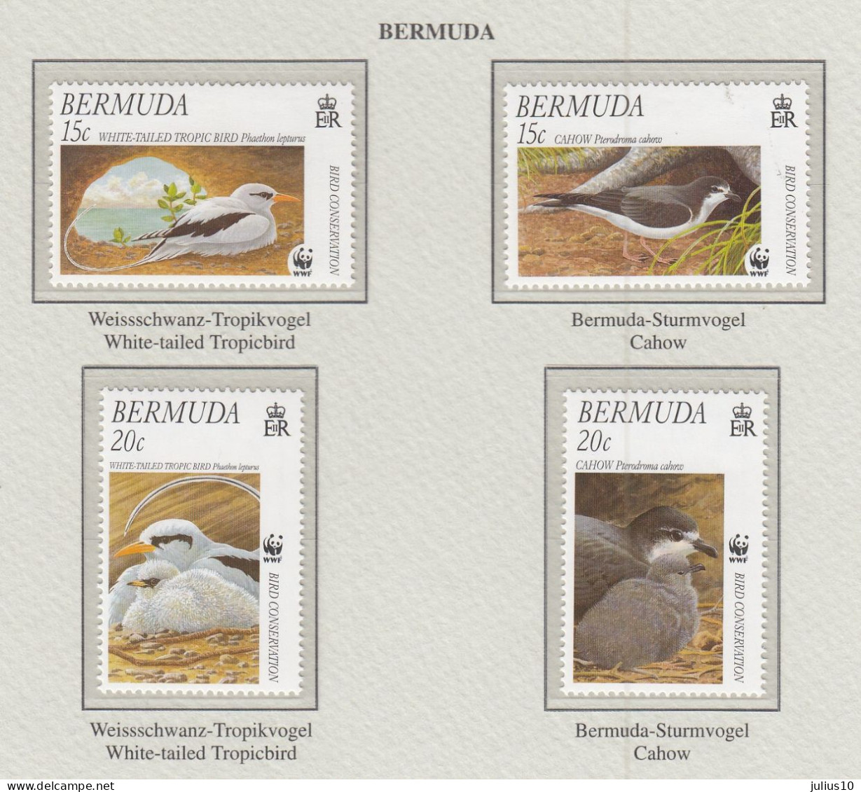 BERMUDA 2001 WWF Birds MiNr. 785 - 788 MNH(**) Fauna 631 - Autres & Non Classés