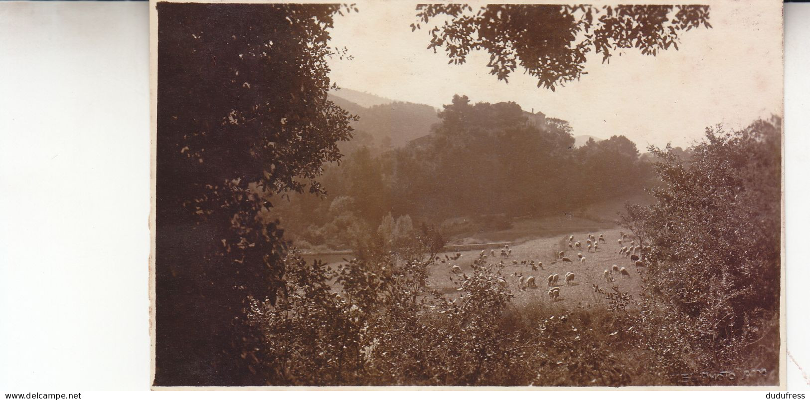 VAUVENARGUES  PAYSAGE   CARTE PHOTO   AMIEL 1926 - Other & Unclassified