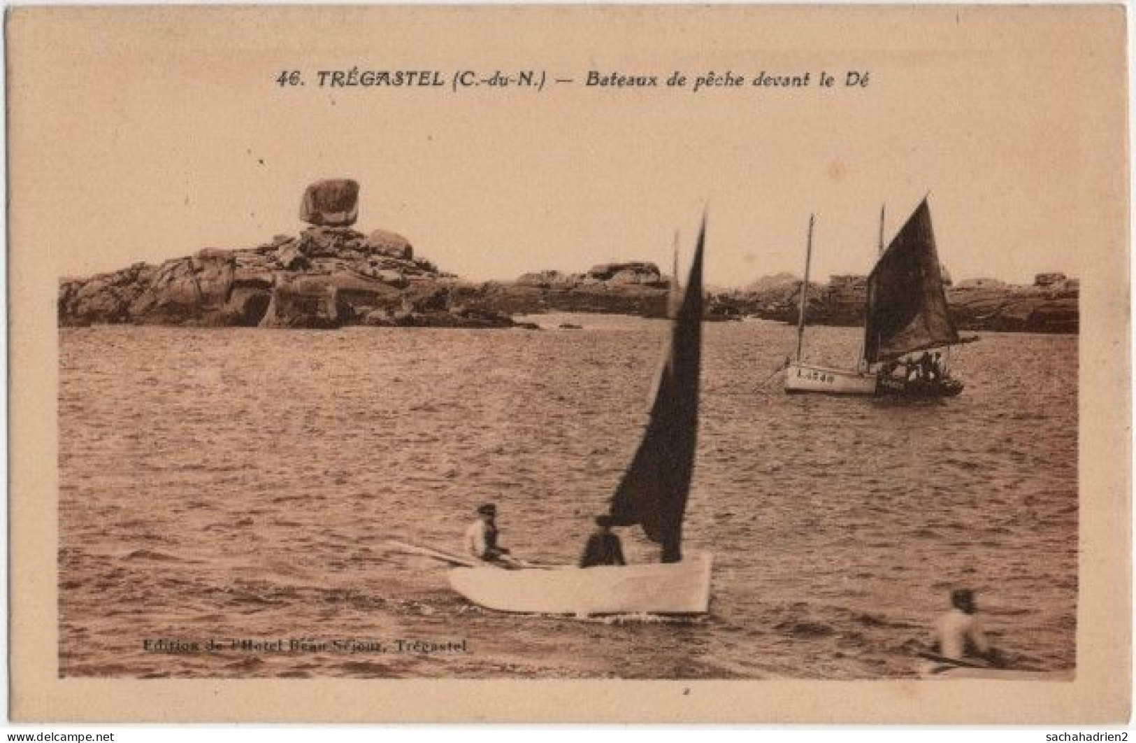 22. TREGASTEL. Bateaux De Pêche Devant Le Dé. 46 - Trégastel