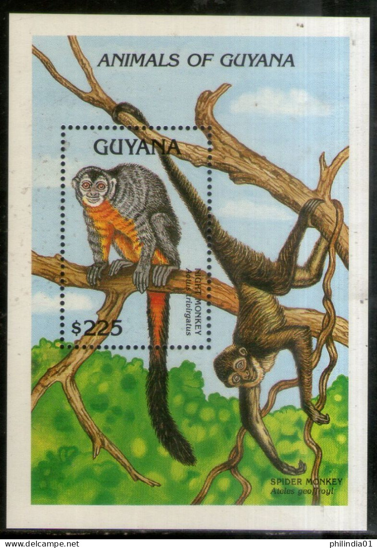 Guyana 1992 Night Monkey Wildlife Animals Sc 2618 M/s MNH # 13250 - Monkeys