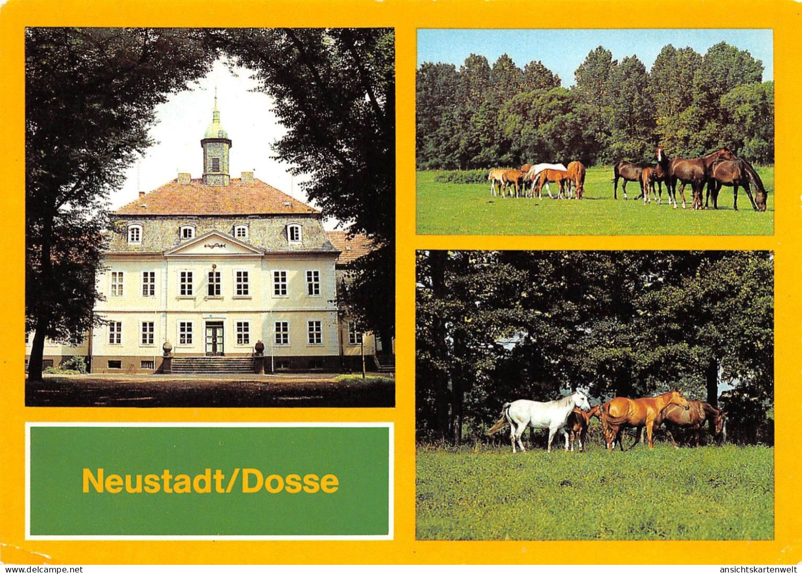 Neustadt/Dosse VE Hauptgestüt Ngl #169.061 - Altri & Non Classificati
