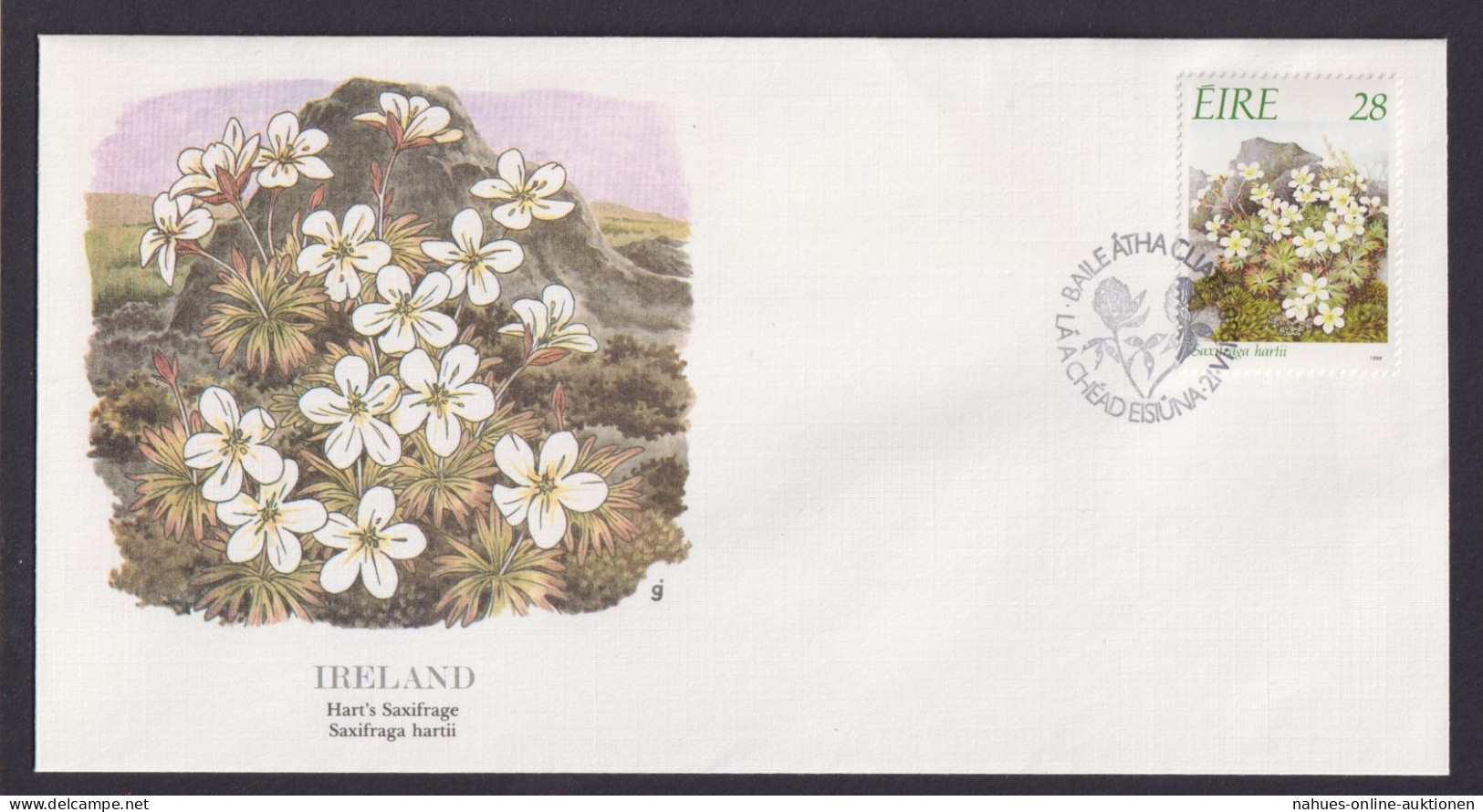 Ireland Irland Flora Schöner Künstler Brief - Storia Postale
