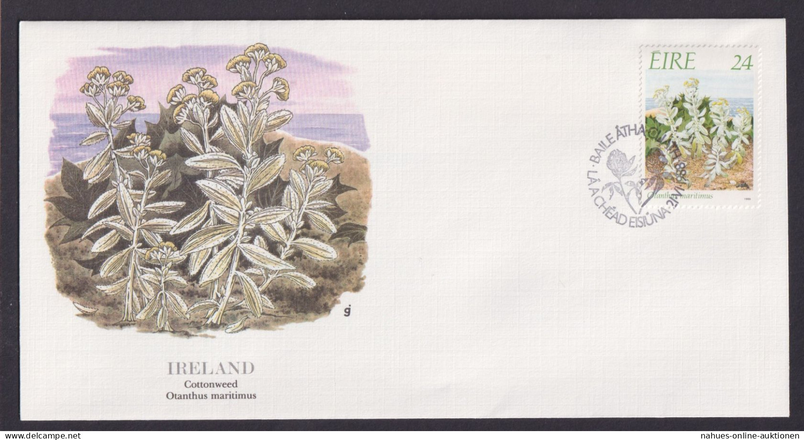 Ireland Irland Flora Wollgras Schöner Künstler Brief - Briefe U. Dokumente