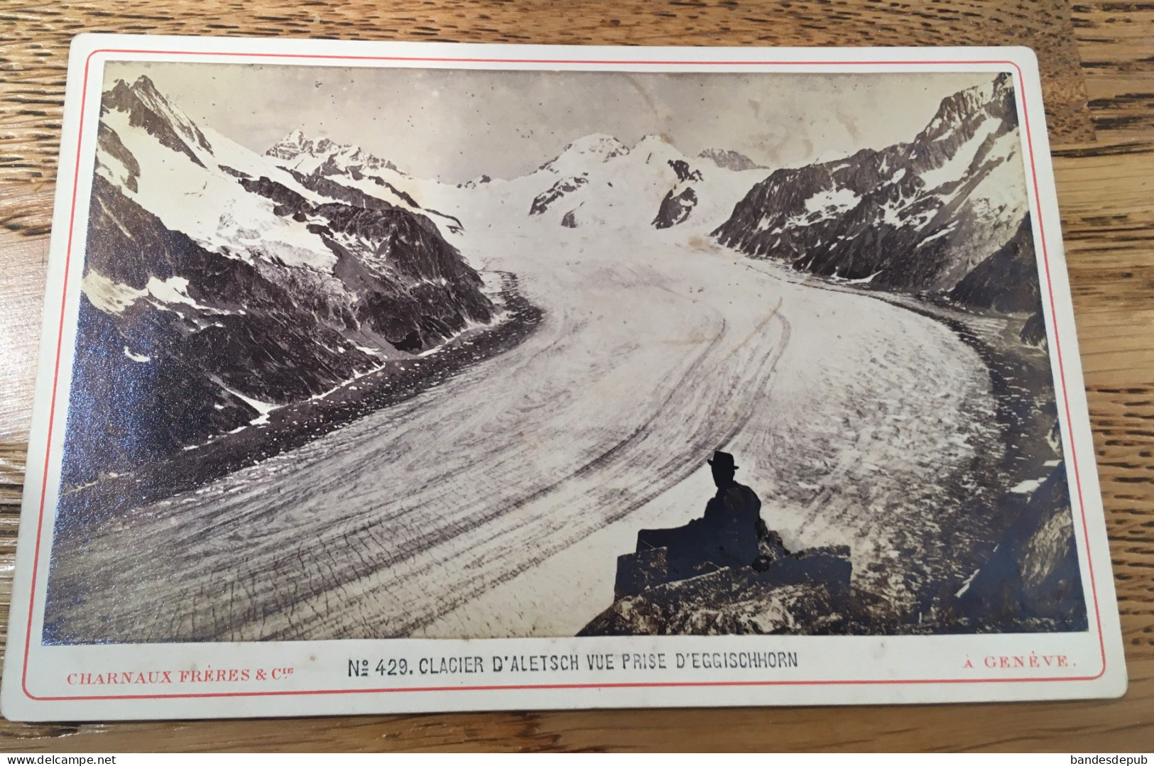 Rare Photo Cabinet Charnaux GENEVE Suisse Glacier Aletsch Vue Prise Eggischhorn - Old (before 1900)